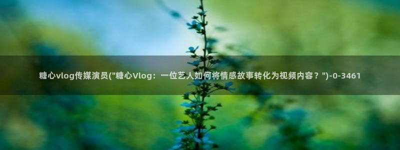 糖心vlog剧情在线