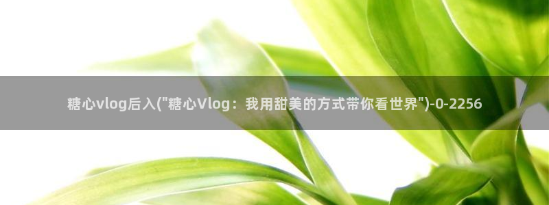 糖心vlog up小桃