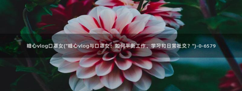 糖心vlog线下援交