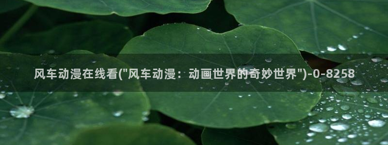 58动漫：风车动漫在线看(\