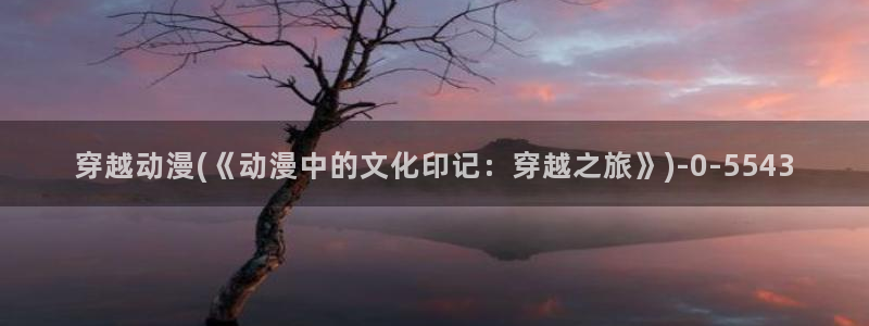 功夫动漫：穿越动漫(《动漫中的文化印记：穿越之旅》)