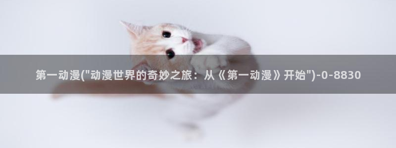 风之动漫：第一动漫(\