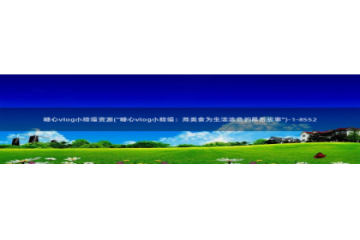 深夜放毒糖心vlog：糖心vlog小晗喵资源(\