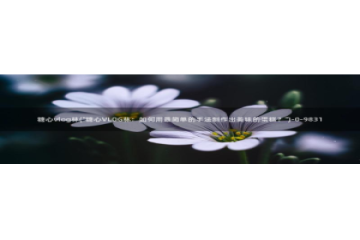 糖心vlog 苹果：糖心vlog林(\