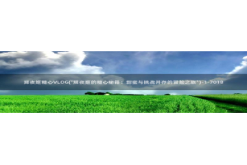 糖心vlog软件博客：辉夜姬糖心VLOG(\