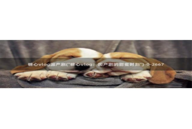 糖心vlog雷姆：糖心vlog国产剧(\